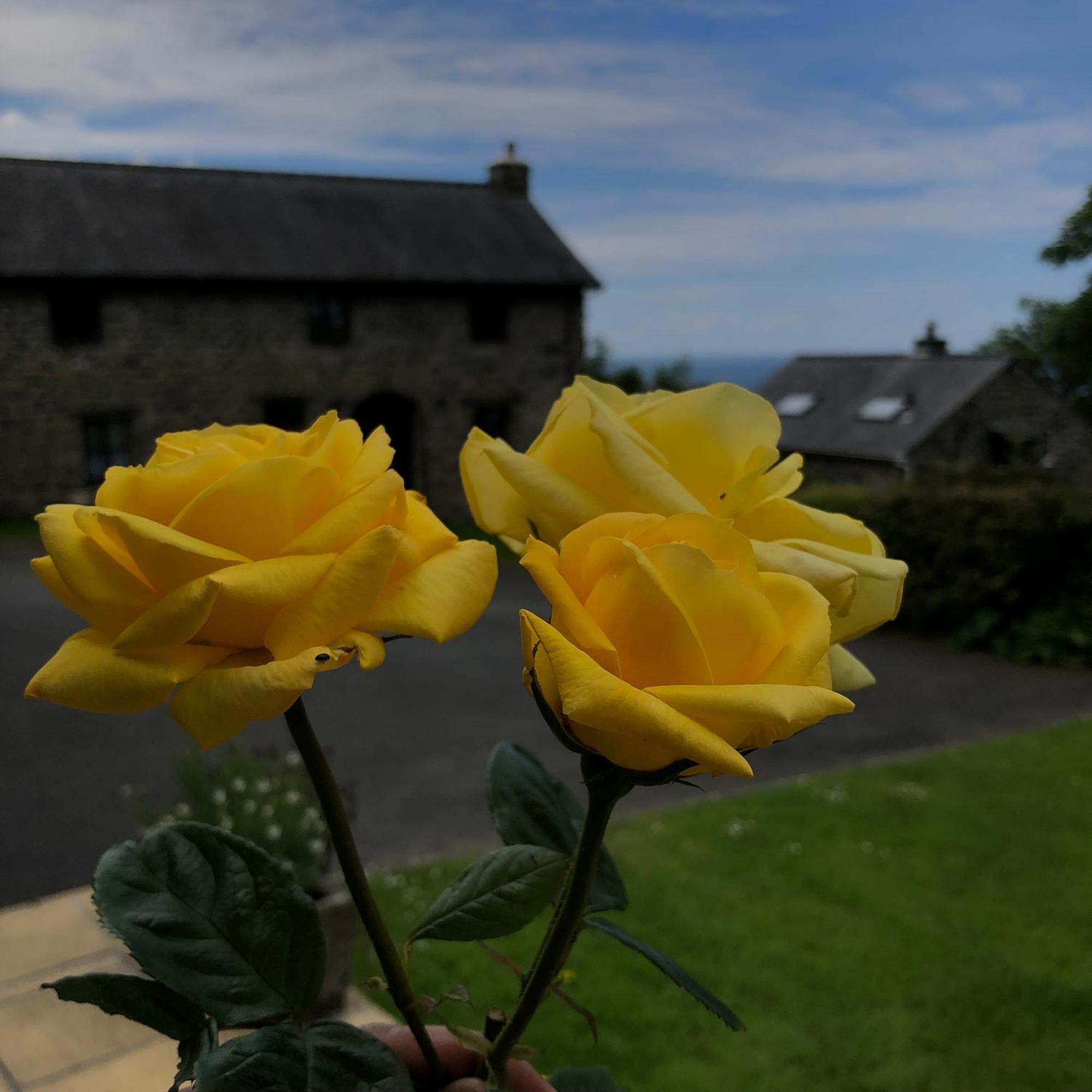 The Old Farmhouse B&B Dyffryn Ardudwy Exterior foto