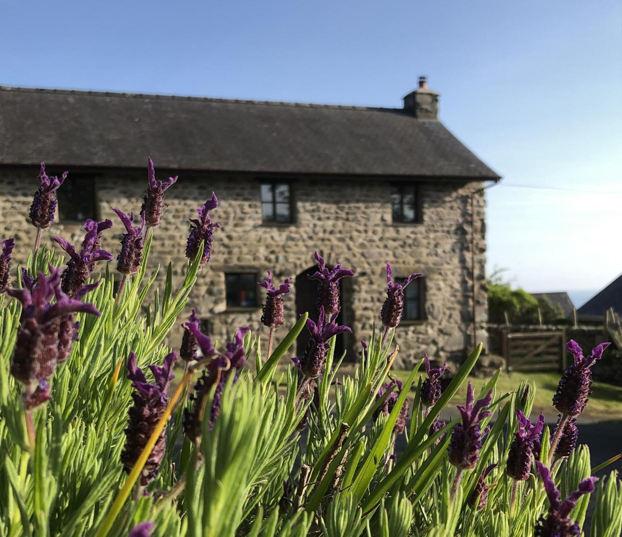 The Old Farmhouse B&B Dyffryn Ardudwy Exterior foto